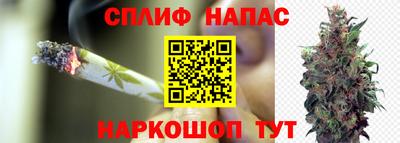 спиды Ливны