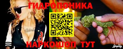 гидра Лесосибирск