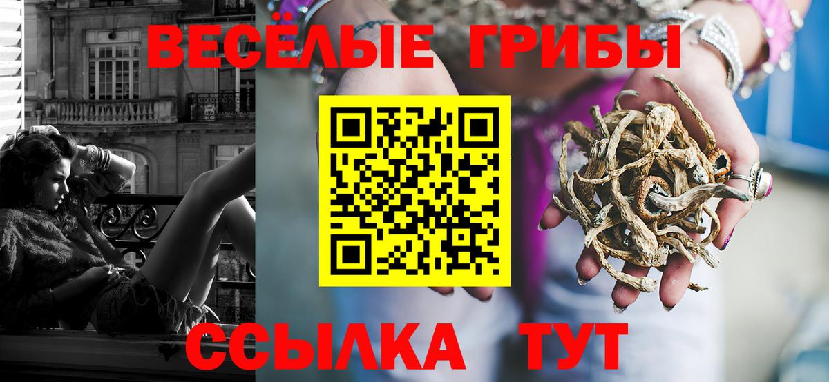 Урус-Мартан  Псилоцибиновые грибы Psilocybine cubensis  Вход с VPN  Галлюциногенные грибы ЛСД 